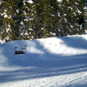 Formal wear @ Revy - 5 of 19