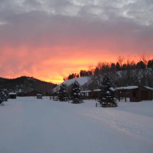 We had to stop to take this one