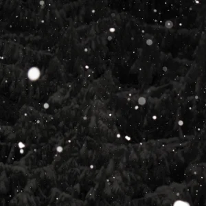 Snowy Night