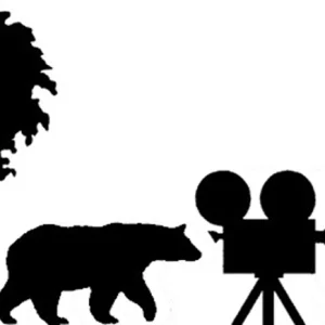 Birch Bear Films