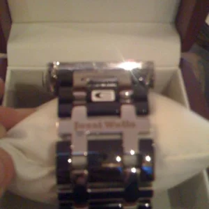 Jossi Wells Dual Time