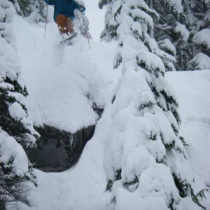 Steve the prirate droppin