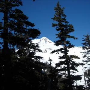 Hood from Heather's Canyon