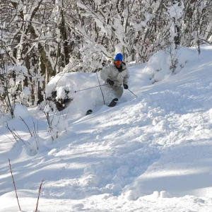 BC in North Carolina