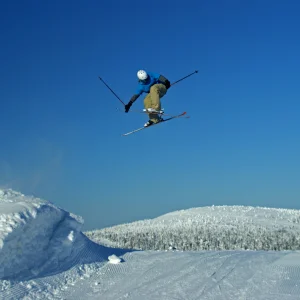 Nose/Mute/Whatever 540