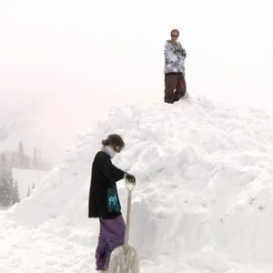 Tim and Wilson Chads