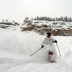 Pow Shreddin - 3