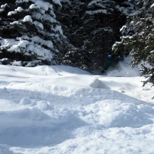 Pow Shreddin - 5