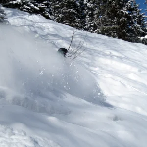 Shreddin Pow - 7