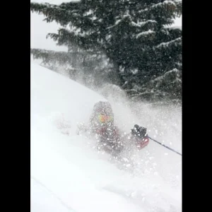 Jim Adlington - Planks Team