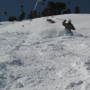 Pow Shreddin