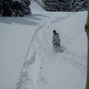 Some spring pow