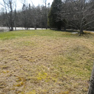 Building a Backyard Setup; Start to Finish. - Location