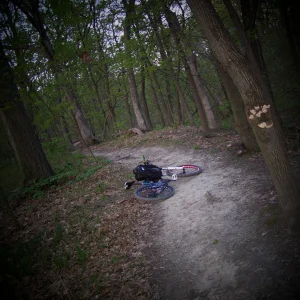 Pretty scenic trails alot of fun