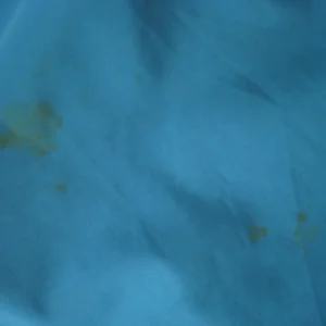 Stains on back of jacket