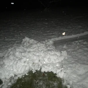 Backyard Skiing on April 18th - 4 of 27