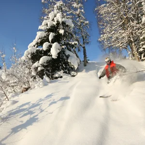 Powder turn