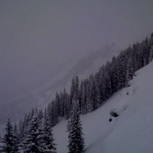 East vail pow
