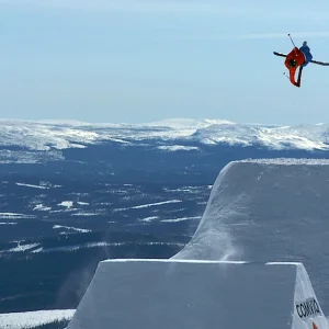 Tom 9 Blunt JOSS Step over