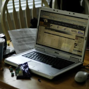 What i do in the summer