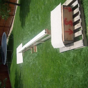 Backyard summer set up