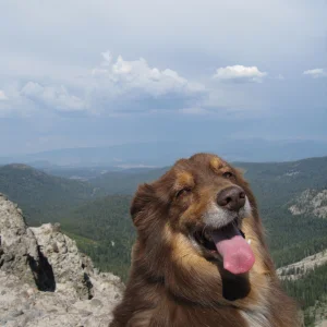 Mah Dawg