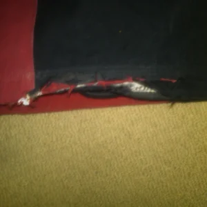 Rips 2