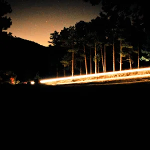 Speed