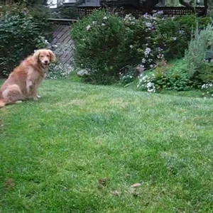 CRAZY coo' jump, foo !!! big air