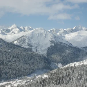 Helip trip Whistler back