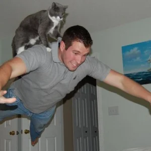 Flying cat