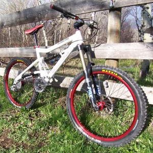 Fresh santa cruz bullit