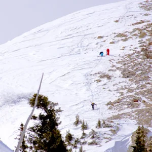 Gettin pumped for the Bird!