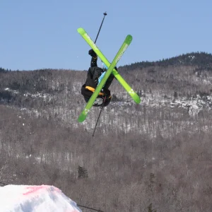 Golden crown offord 2010