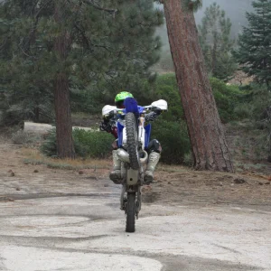 Little wheelie action