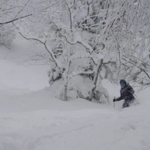 Waist Deep Powder!