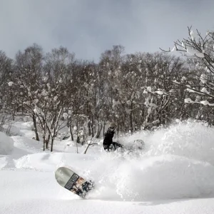 Clayton snacking on snow