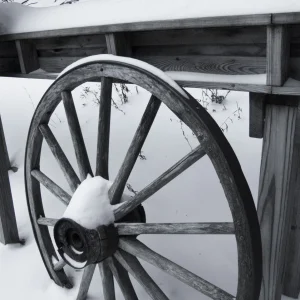 Waggon Wheel