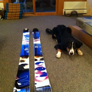 191 ON3P Caylor   Django