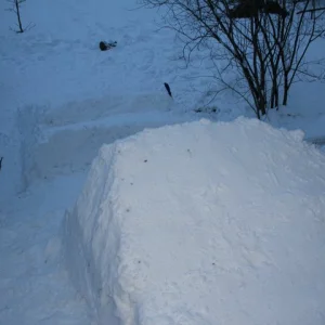 Backyard Jump - Booter