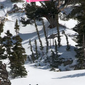 Interlodged TimmyP Wheelie