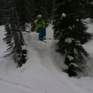 Whistler