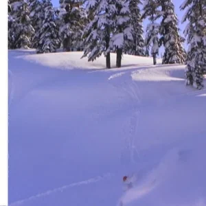 Getting shot in the Face