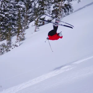 Front Flip 3
