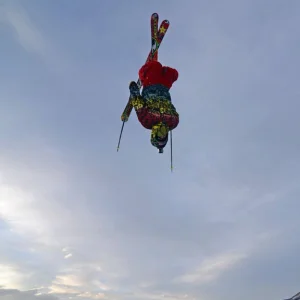 Backflip
