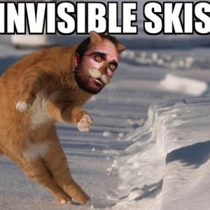 Invisible Skis