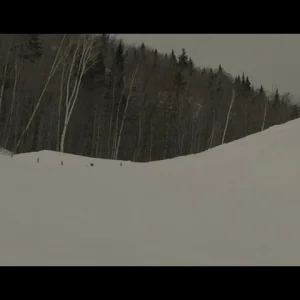 Cork 5 critical crissment trop fat