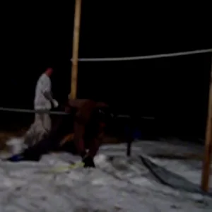 Fucking limbo night!