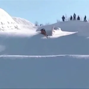 Weird Flip? Name It!