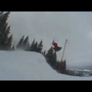 First day with rodeo and true nose training